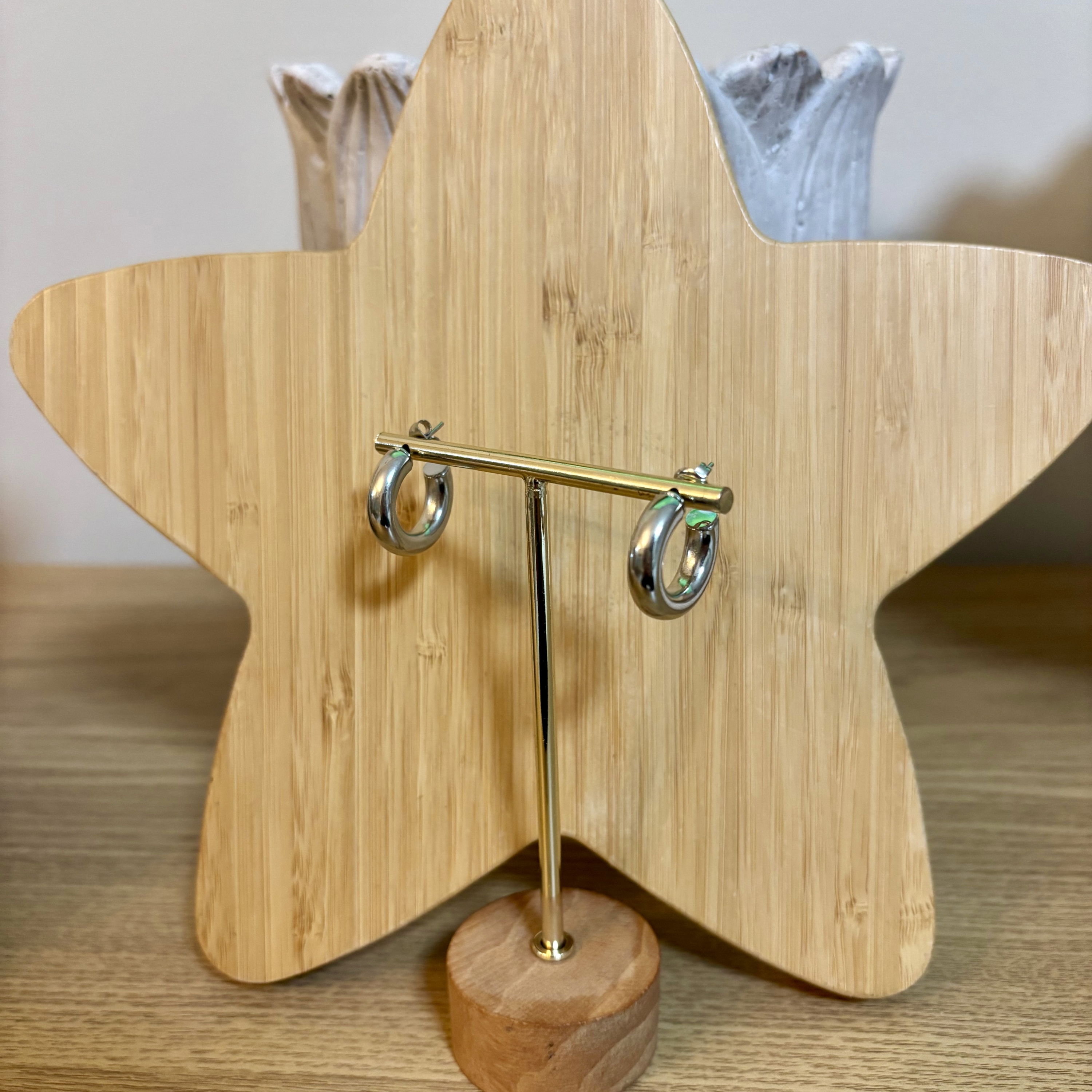 Aretes Pluma Plateado